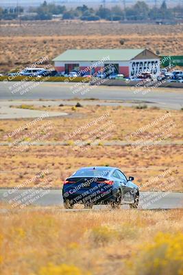 media/Nov-16-2024-Extreme Speed (Sat) [[6587d07cc4]]/Purple Group/Session 1 (Turn 2)/